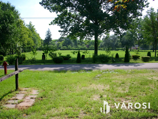 Ha vállalkozást szeretne elindítani,