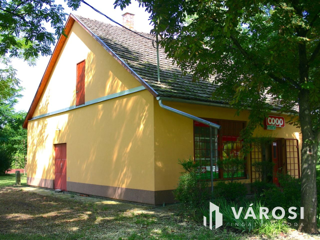 Ha vállalkozást szeretne elindítani,