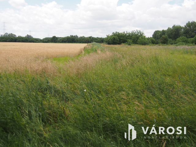 Iparterület Szeged és Vásárhely között, a Tisza hídnál!