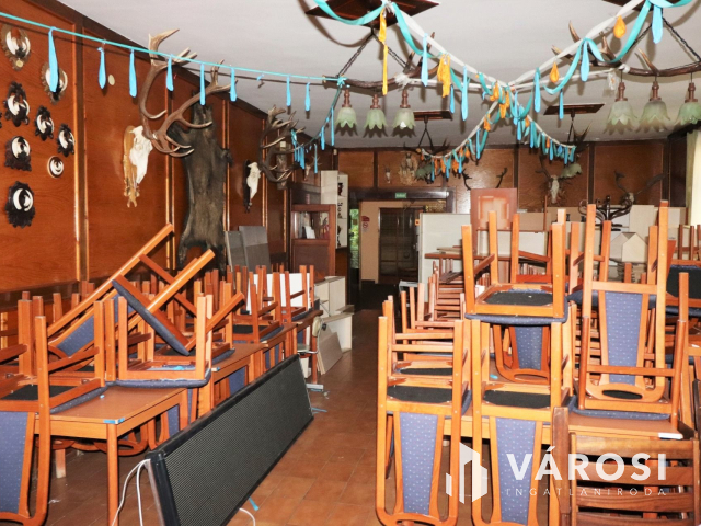 Szabadkígyósi kastély mellett kíváló befektetési lehetőség