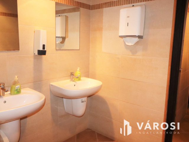 Szabadkígyósi kastély mellett kíváló befektetési lehetőség