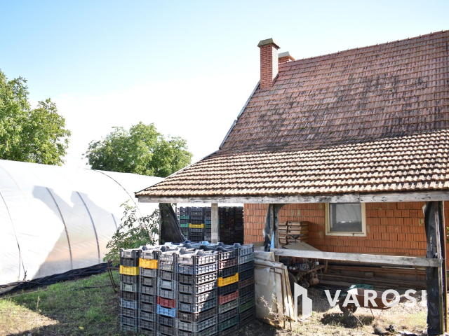 Kiváló lehetősség termelőknek!