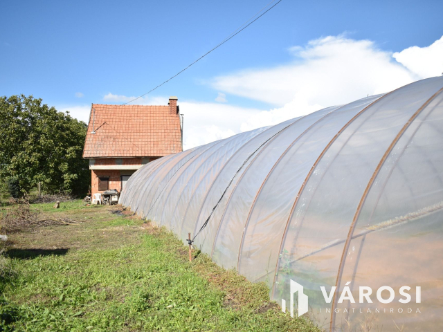 Kiváló lehetősség termelőknek!