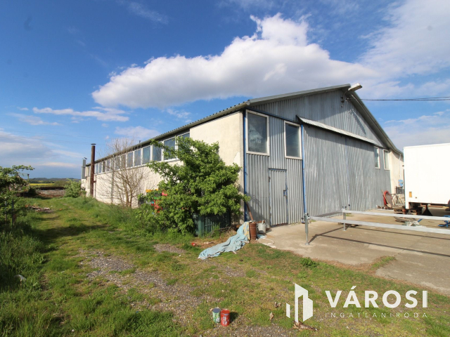 Szabad tartású mangalica telep, kiváló befektetési lehetőség