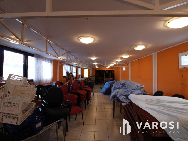 Ez nem üvegtigris, ez jobb! Ez Fapuma