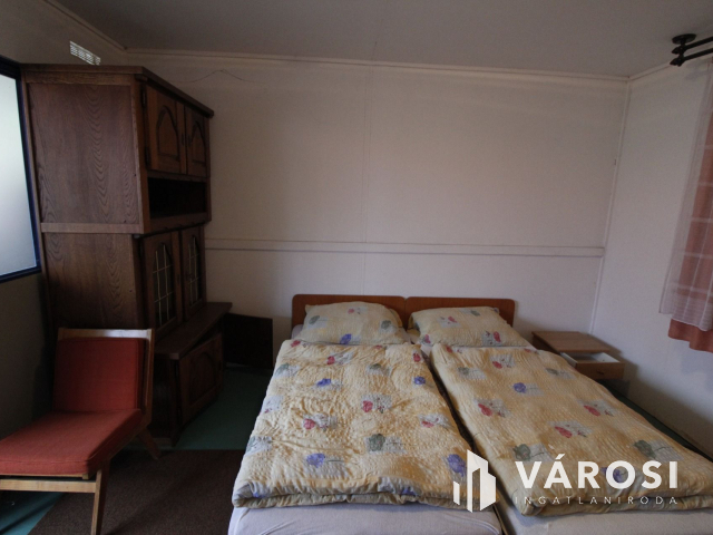 Ez nem üvegtigris, ez jobb! Ez Fapuma