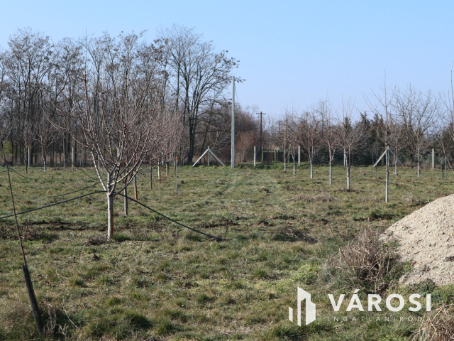 Újszeged zöldövezeti részén, építési telek!