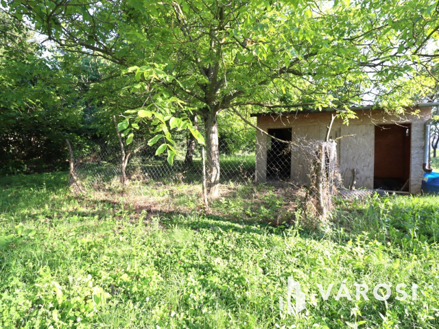 Diófák sokasága, eladó telek Töltéstava