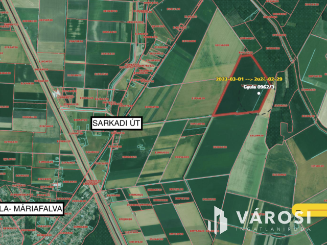 Termőföld Gyula határában, Oláh-Réten