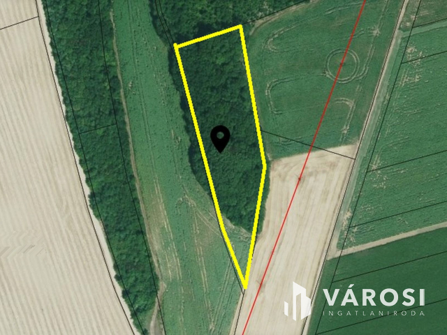 Erdősmárok mellett föld terület eladó
