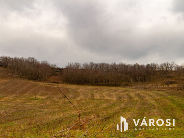Erdősmárok közelében erdő terület eladó