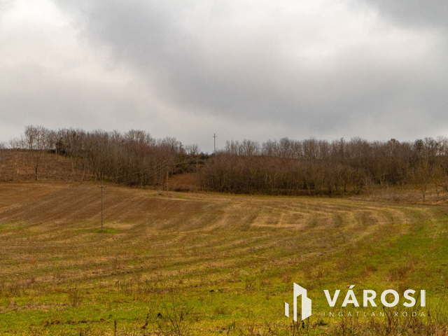 Erdősmárok közelében erdő terület eladó