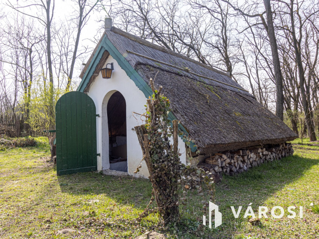 5700 m2-es telek nagy házzal, melléképületekkel Ladánybenén!