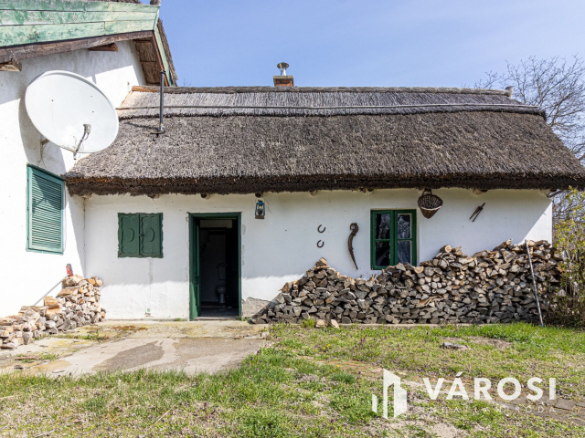 5700 m2-es telek nagy házzal, melléképületekkel Ladánybenén!