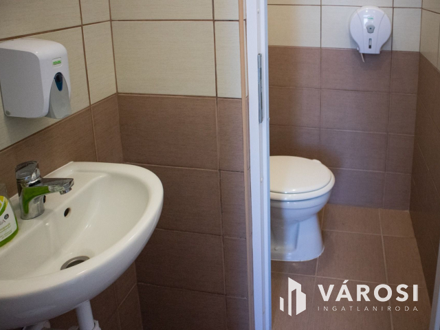 Kiváló csarnok aszfaltozott út mellett kiadó