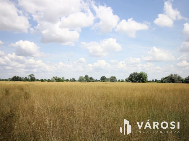 Nomád állattartásra alkalmas