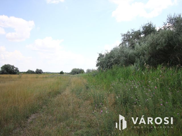 Nomád állattartásra alkalmas