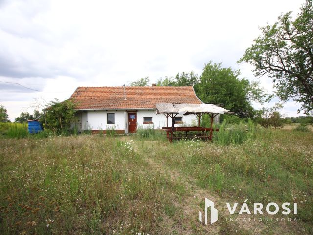 Madárcsicsergős tanya, nagy telekkel