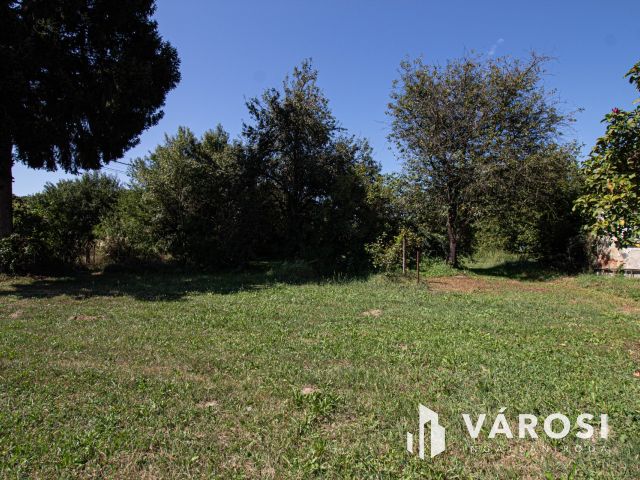 Saroktelek a szlovén határ mellett!