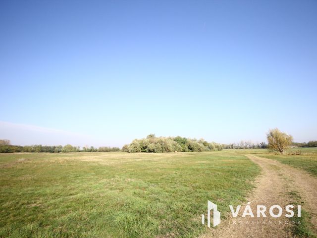 Balástyai tanyáknál