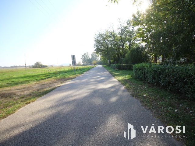 Balástyai tanyáknál