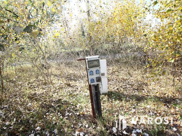 Balástyai tanyáknál