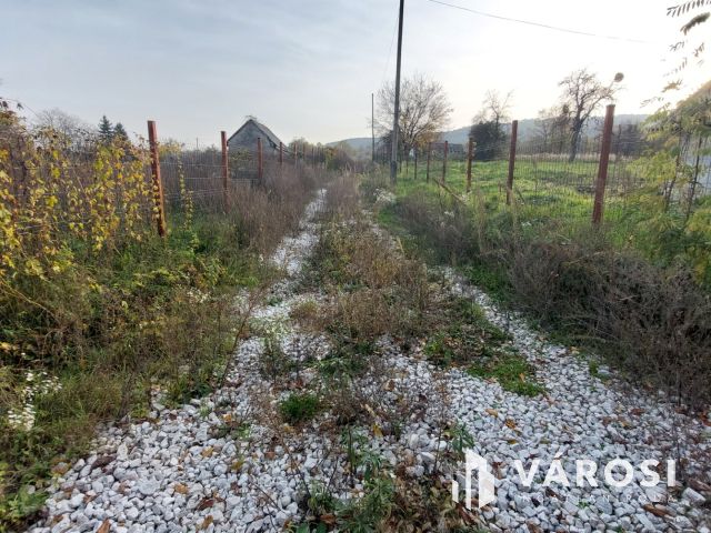 Bazsi szőlő hegyen 1,75 ha terület lakóépülettel eladó