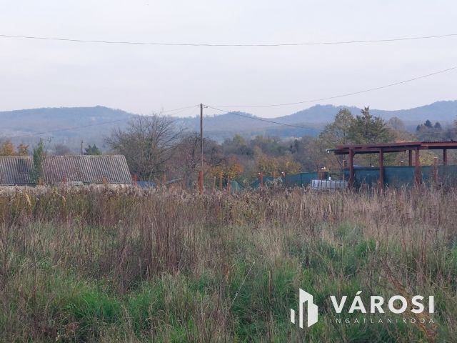Bazsi szőlő hegyen 1,75 ha terület lakóépülettel eladó