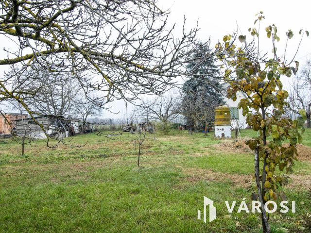 Csendes környezetben eladó építési telek Győr kertvárosában