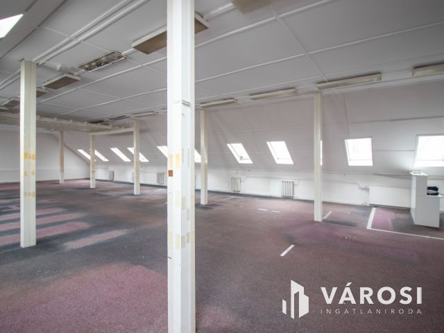 Ipari ingatlan, többcélú hasznosításra