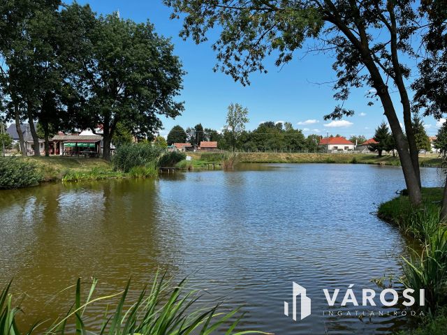 Simaság belterületi horgásztó,engedélyekkel6000m2 eladó!