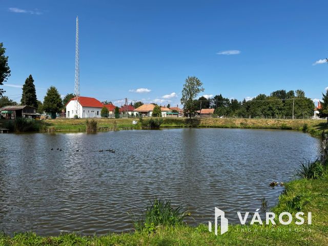 Simaság belterületi horgásztó,engedélyekkel6000m2 eladó!