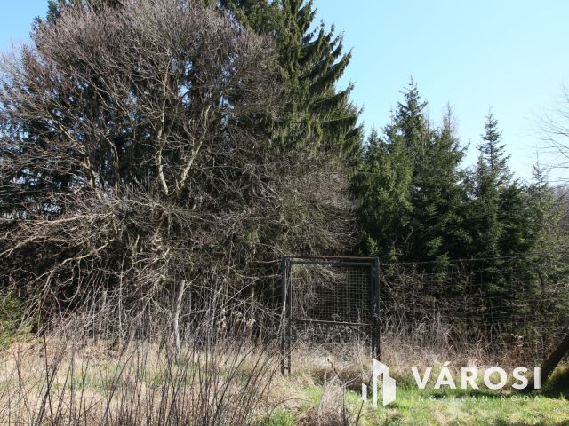 Nagykanizsa közelében csodálatos birtok, lakható épülettel