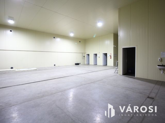 Vállalkozz profi környezetben.