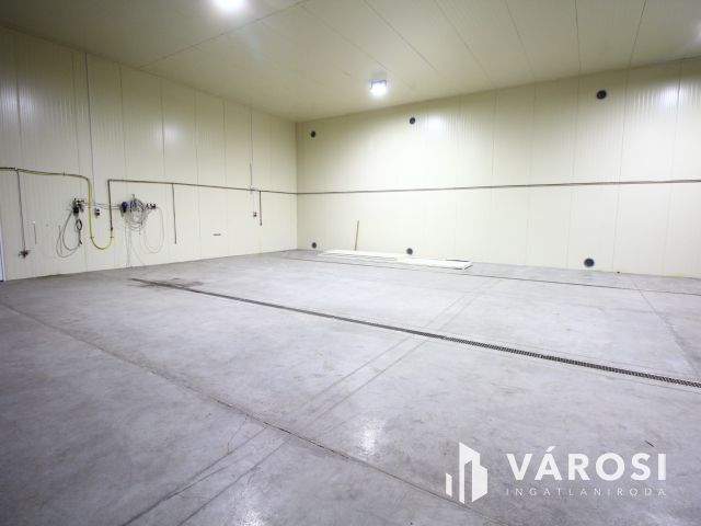 Vállalkozz profi környezetben.