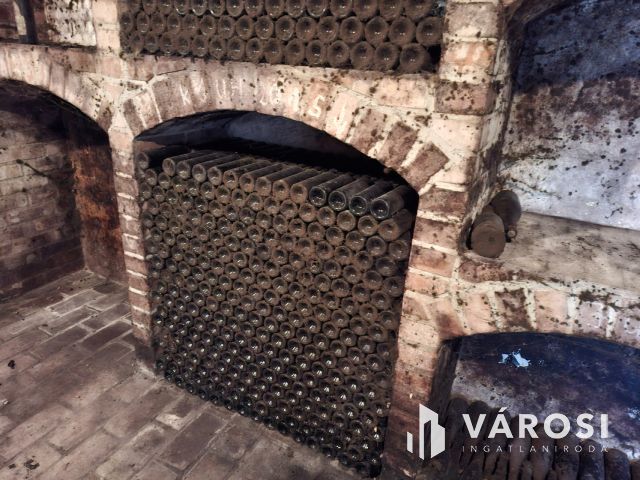 Saját rezsiköltségét megtermelő Balatoni panorámás nyaraló