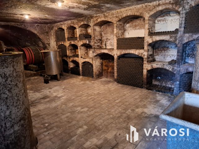 Saját rezsiköltségét megtermelő Balatoni panorámás nyaraló