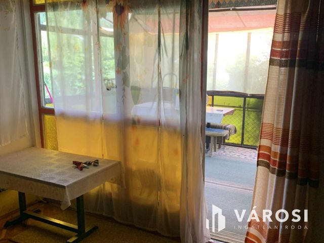 Tiszalökön, közvetlen a Tisza parton nyaraló eladó!