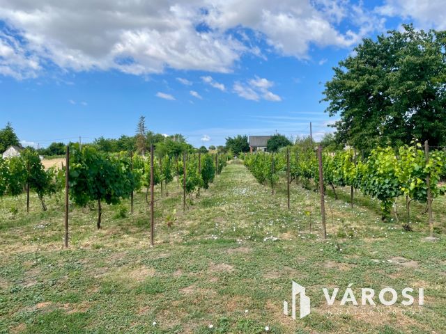 Eladó présházas zártkerti ingatlan Enying Öreghegyen