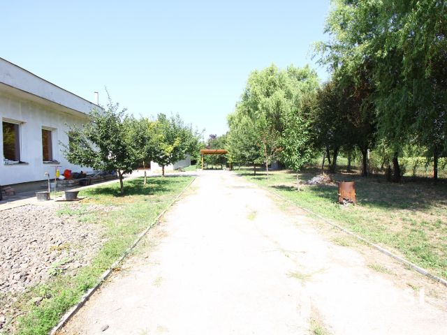 Szolnoki Ipari Parkban, profi helyiségben