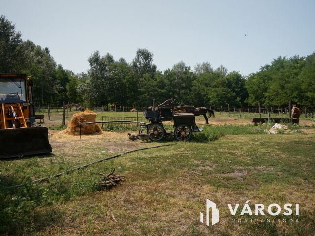 Tip-top tanya a nyugalom szigetén!