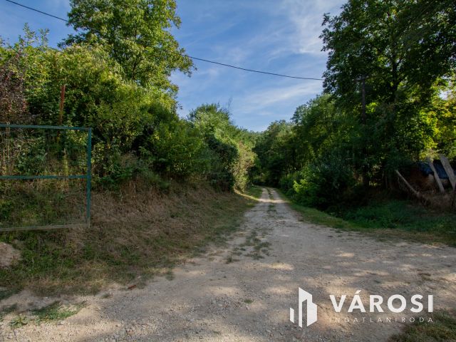 Erdő közepén, a természet szomszédságában élni jó.