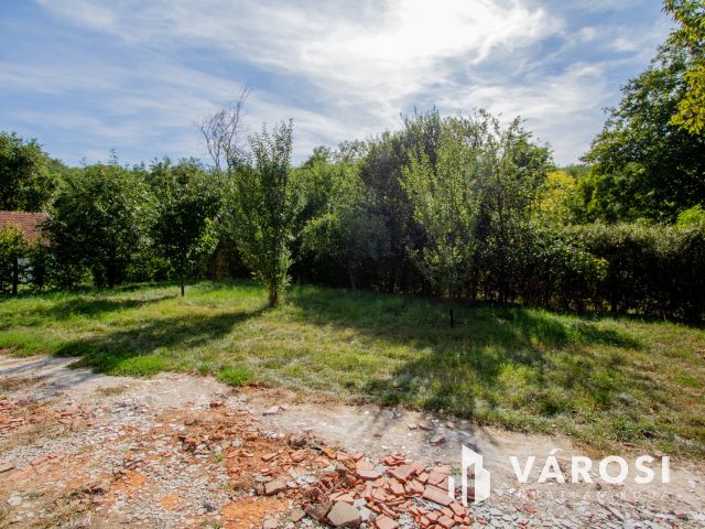 Erdő közepén, a természet szomszédságában élni jó.