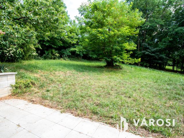 Gosztola hegyi ingatlan, szép nagy területtel eladó!