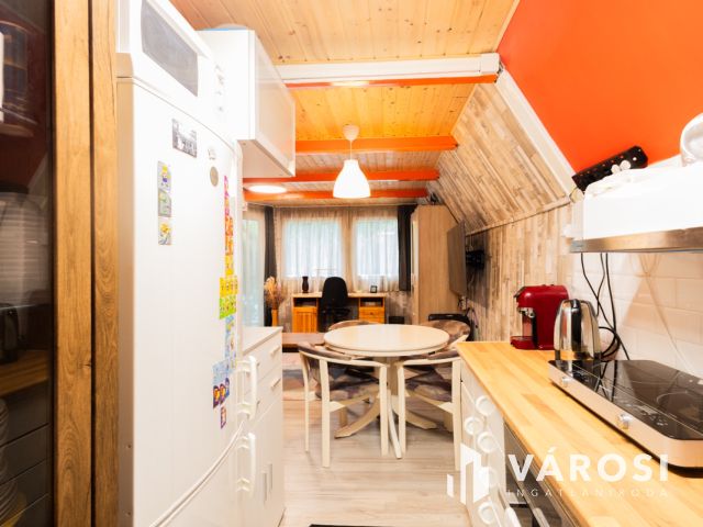 Kisház az erdő mellett