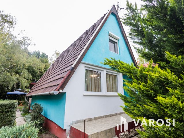 Kisház az erdő mellett