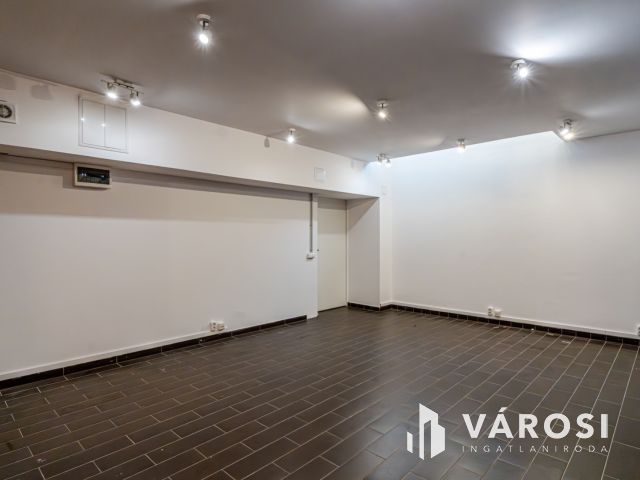 Üzlethelyiség a belvárosban, 200 nm-es panoráma terasszal