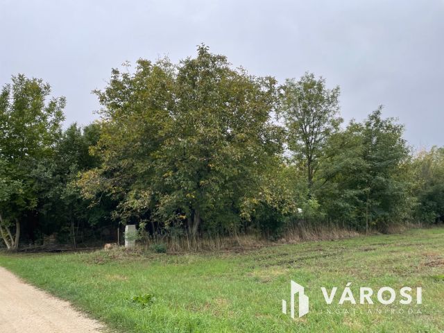 Egy telek, ahol valóban lelassul az idő.