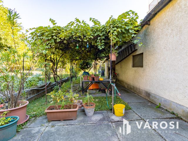 Ikerházfél, takaros kerttel Óbudán