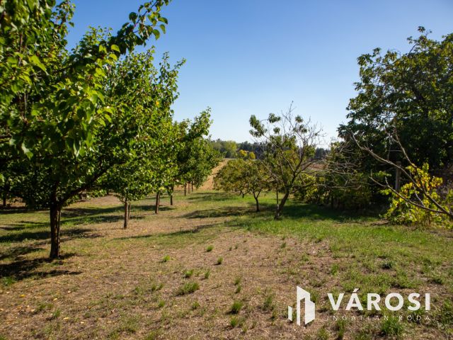 Nyaraló telkek Mohács-Szőlőhegyen